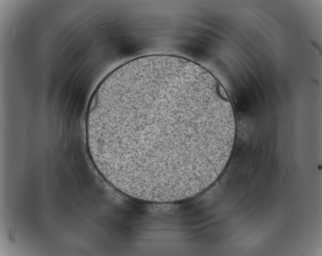 X0000091361150200708241304