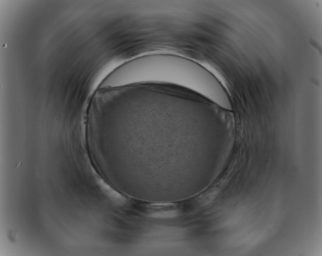 X0000091361151200708241304