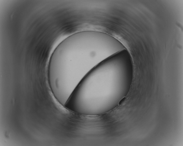 X0000091361152200708241305