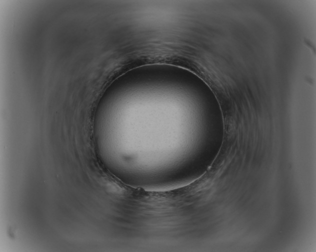 X0000091361153200708241304
