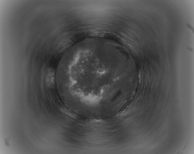 X0000091361154200708241304