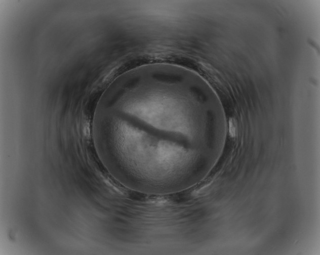 X0000091361155200708241304