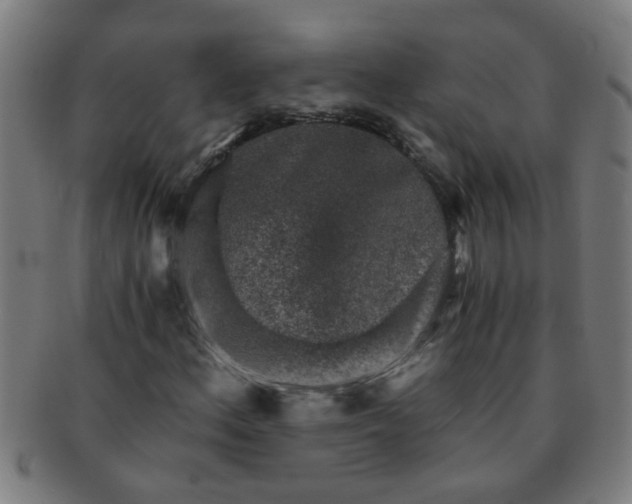 X0000091361156200708241304