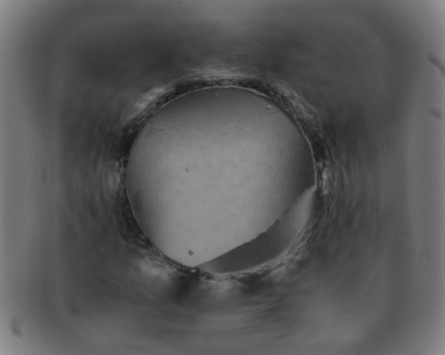 X0000091361157200708241304