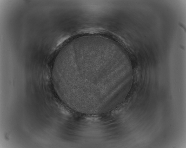 X0000091361158200708241304