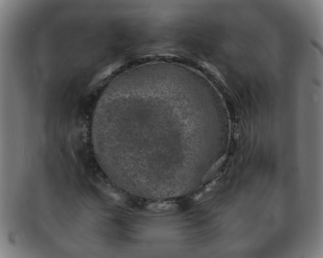 X0000091361159200708241304