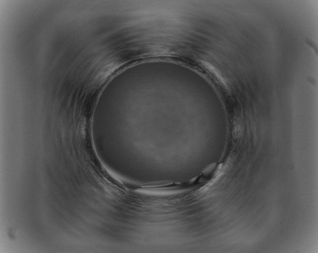 X0000091361161200708241304