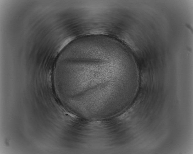 X0000091361162200708241303