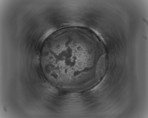 X0000091361163200708241303
