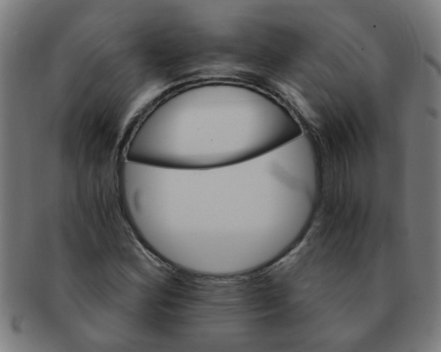 X0000091361164200708241303