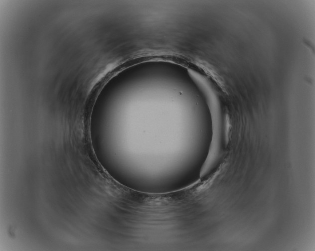 X0000091361165200708241303