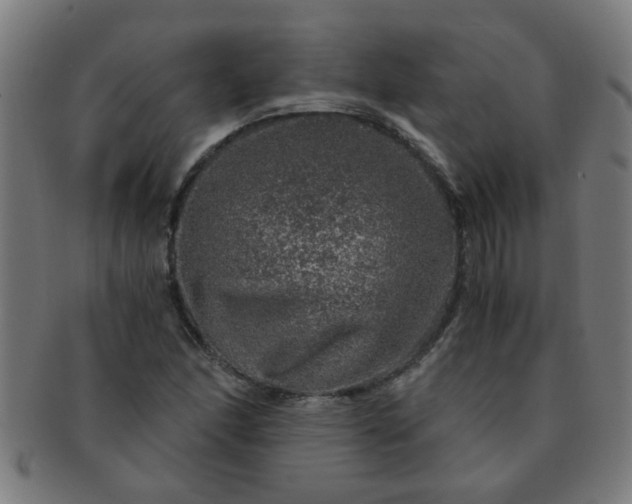 X0000091361166200708241303