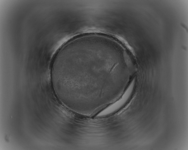 X0000091361167200708241303
