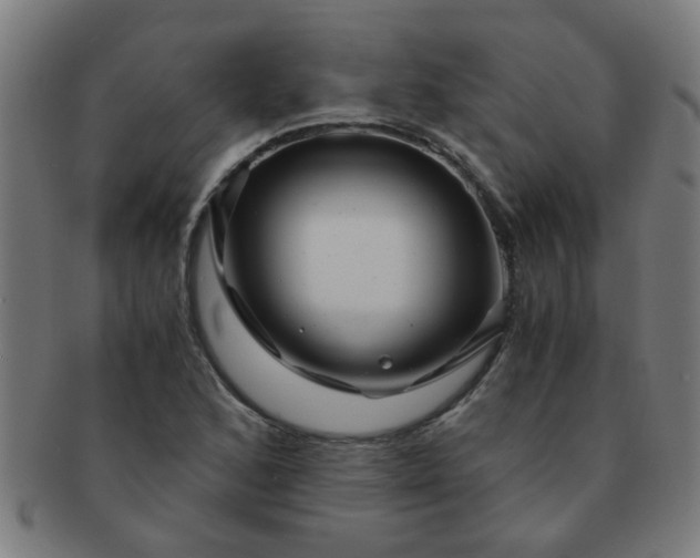 X0000091361168200708241303