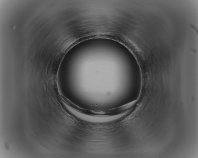 X0000091361169200708241303