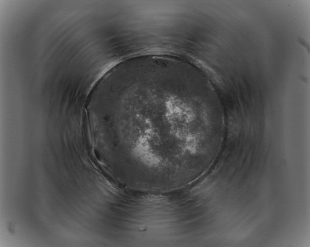 X0000091361170200708241303