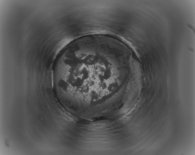 X0000091361171200708241303