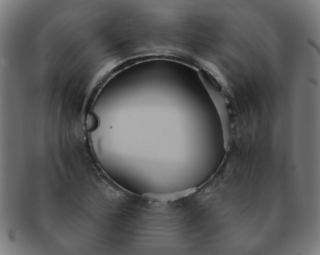 X0000091361172200708241303