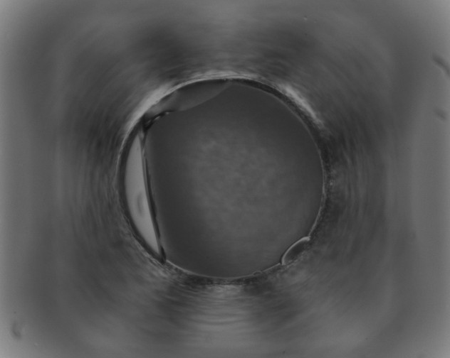 X0000091361173200708241303