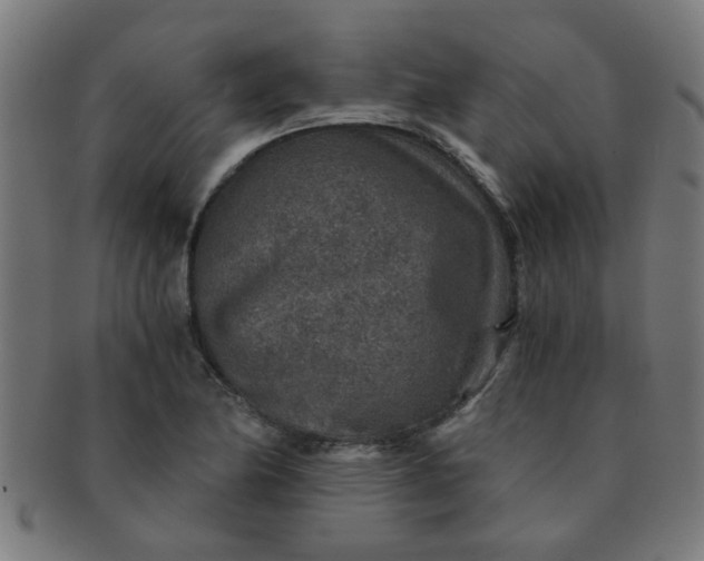 X0000091361174200708241303