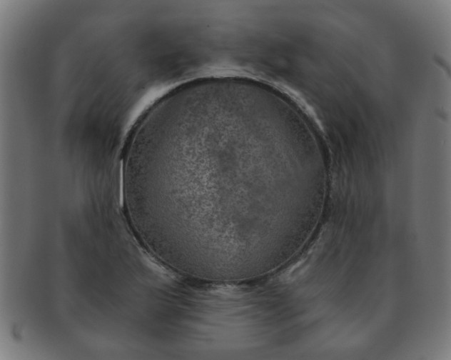 X0000091361175200708241303