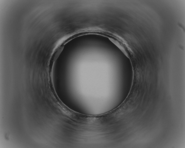X0000091361176200708241303