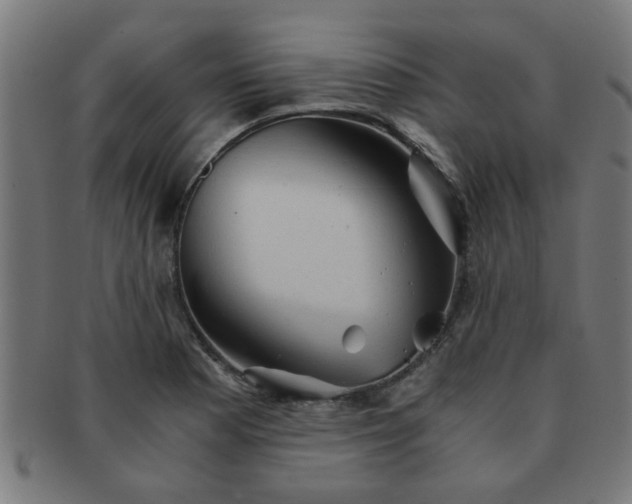 X0000091361177200708241303