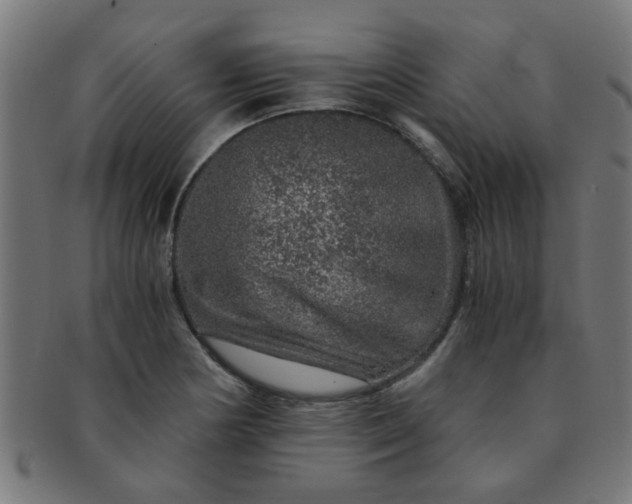 X0000091361178200708241303