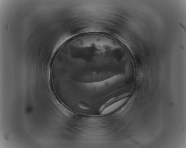X0000091361179200708241303