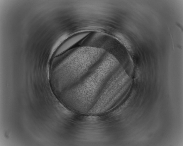 X0000091361180200708241303
