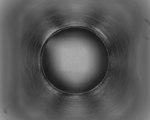 X0000091361182200708241303