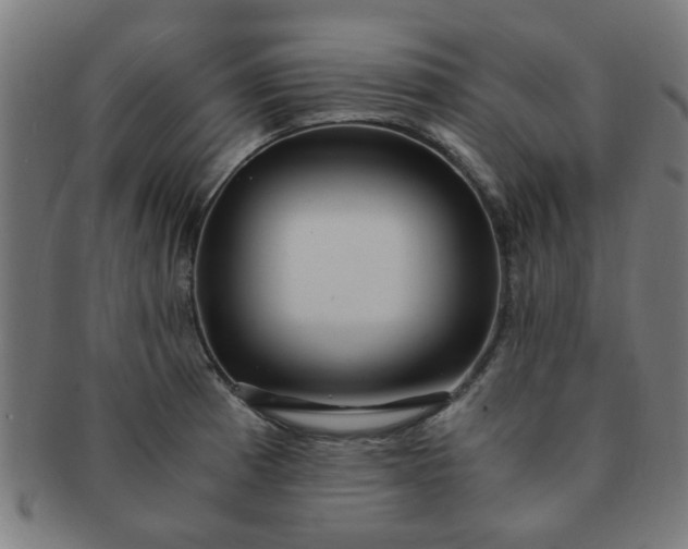X0000091361185200708241303