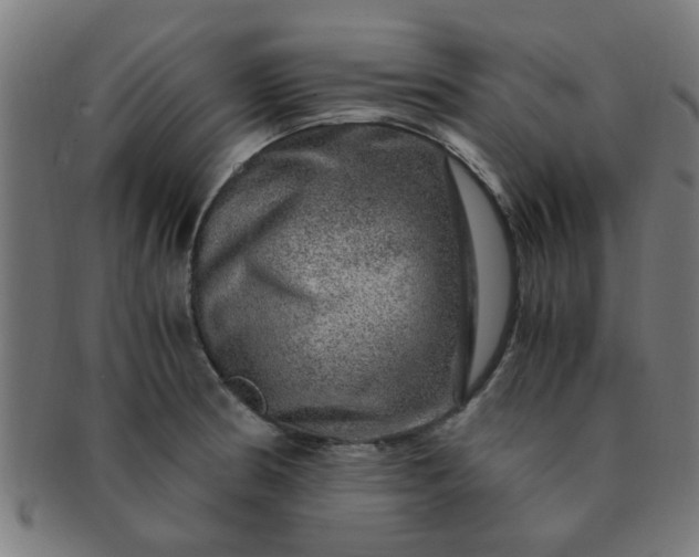 X0000091361186200708241303
