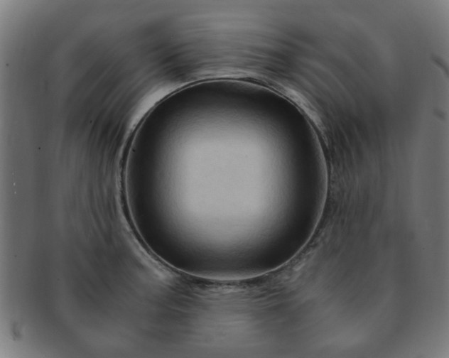 X0000091361187200708241303
