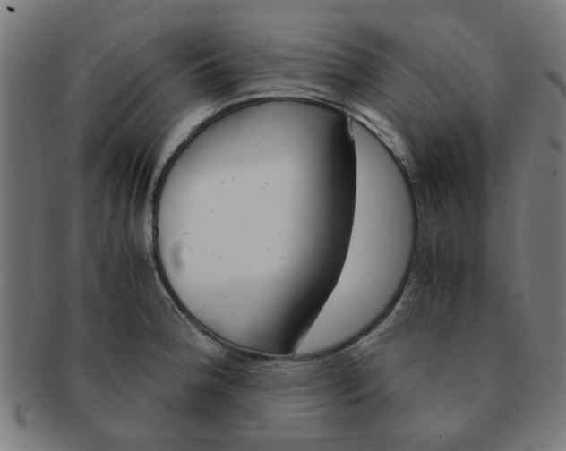 X0000091361188200708241303