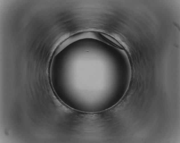 X0000091361189200708241303