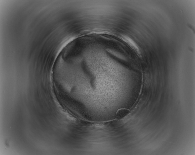 X0000091361190200708241303