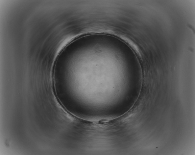 X0000091361191200708241303