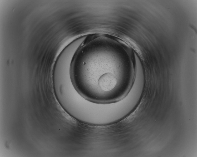 X0000091361192200708241303