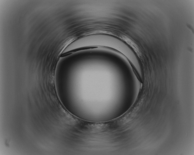 X0000091361193200708241303
