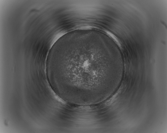 X0000091361194200708241303
