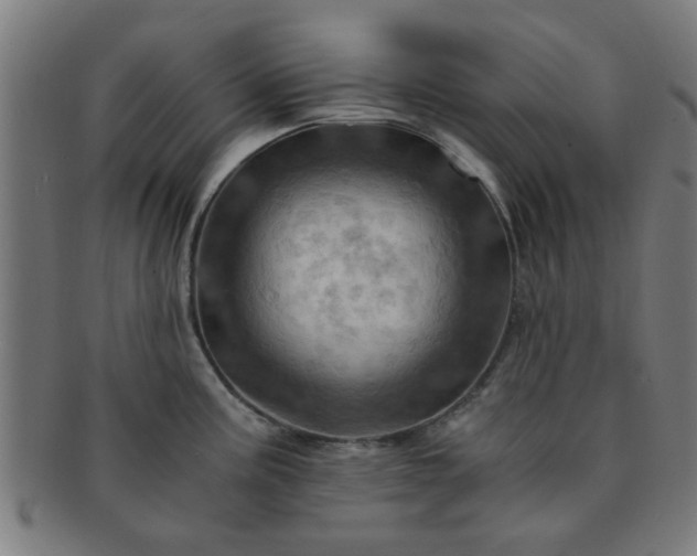X0000091361195200708241303