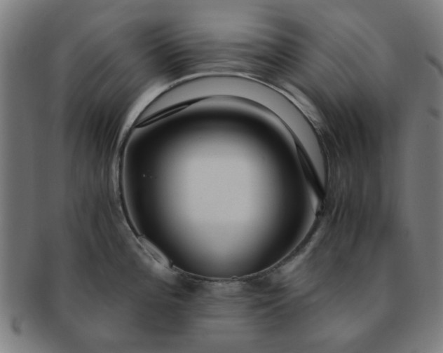X0000091361196200708241303