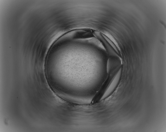 X0000091361197200708241303