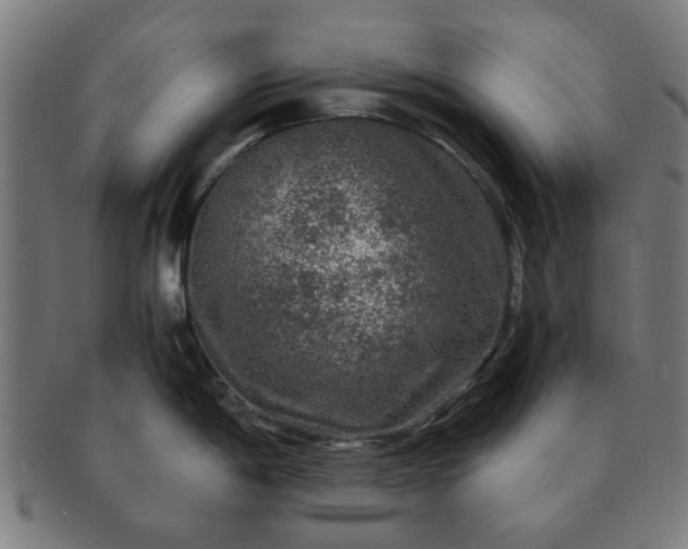 X0000091361198200708241303