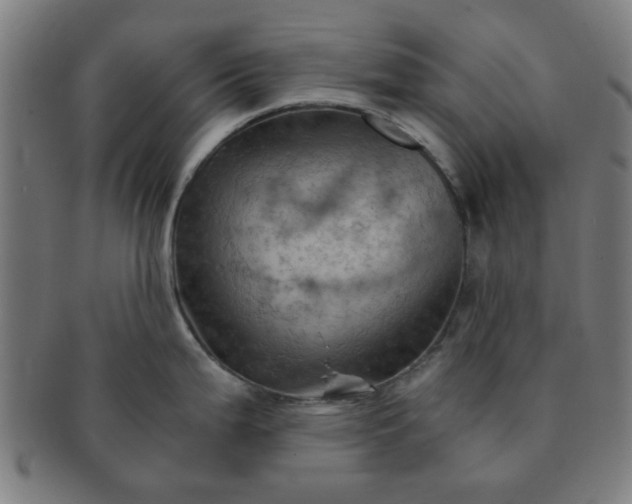 X0000091361199200708241303