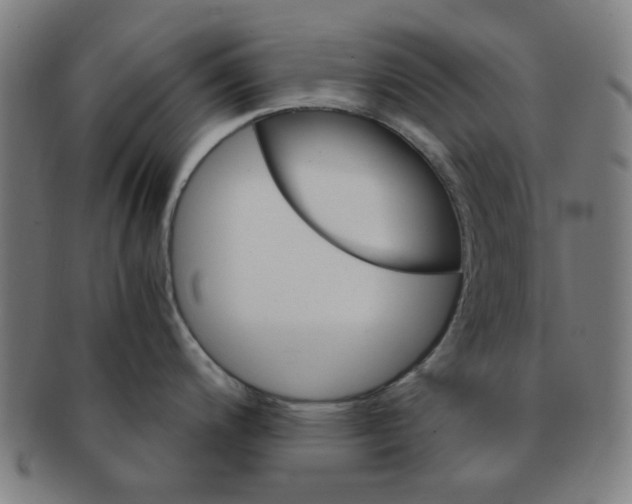 X0000091361200200708241303