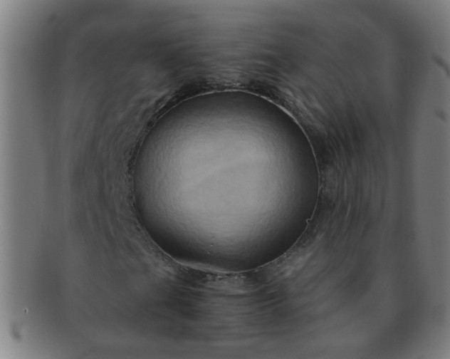 X0000091361201200708241302