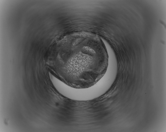 X0000091361202200708241302