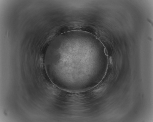 X0000091361203200708241302